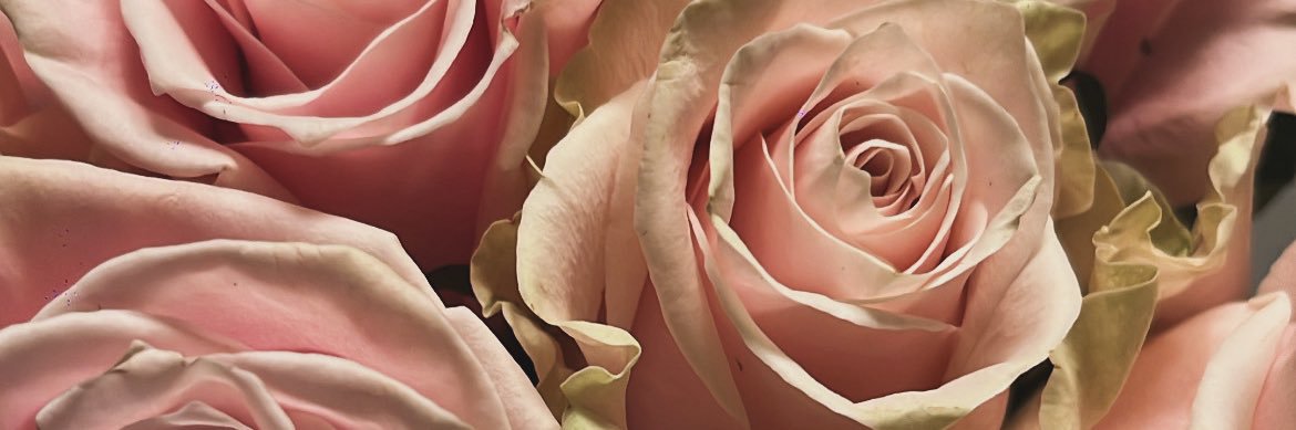 agvalen_'s profile banner image