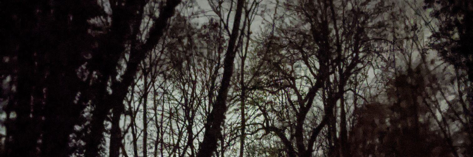 ___Scallywag___'s profile banner image