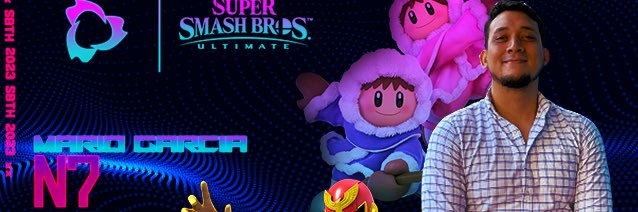 Mario Said banner