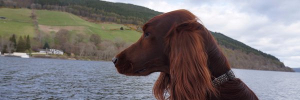 Jeremy_Peters Profile Banner