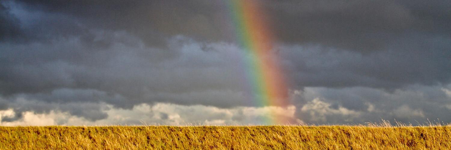 Andrew Townsend banner