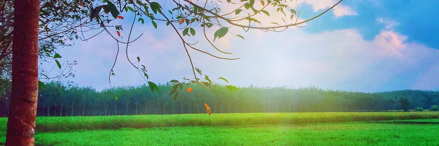 PalabomB31's profile banner image