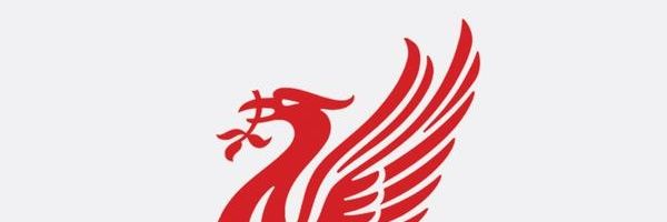 arefq21's profile banner image