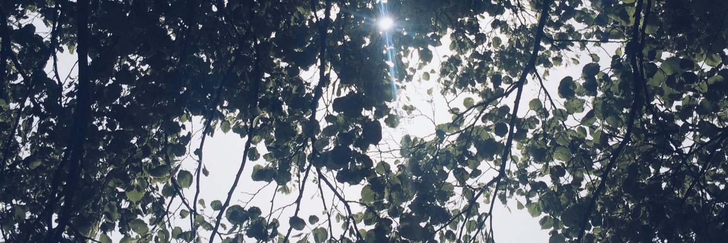 macmacnai's profile banner image
