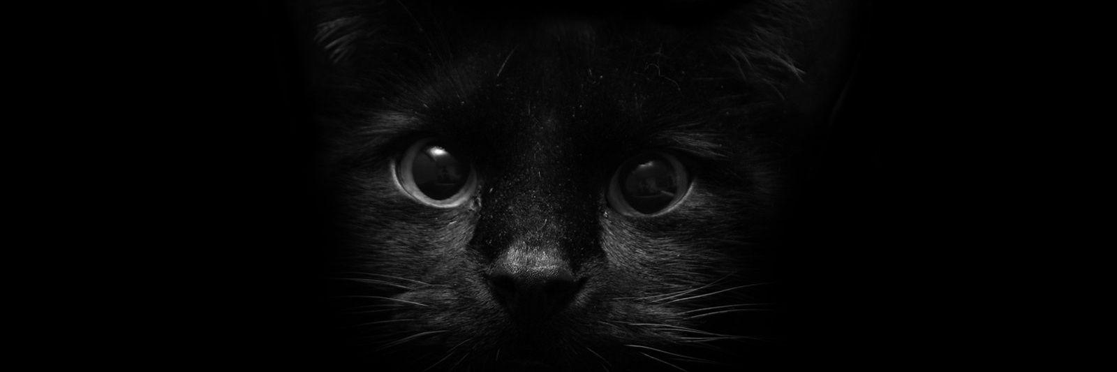 sjbachtiar's profile banner image