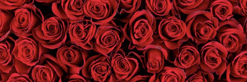 _hannahotto's profile banner image