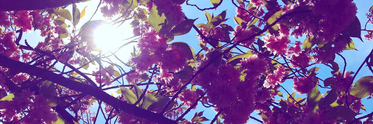 juliecondron's profile banner image