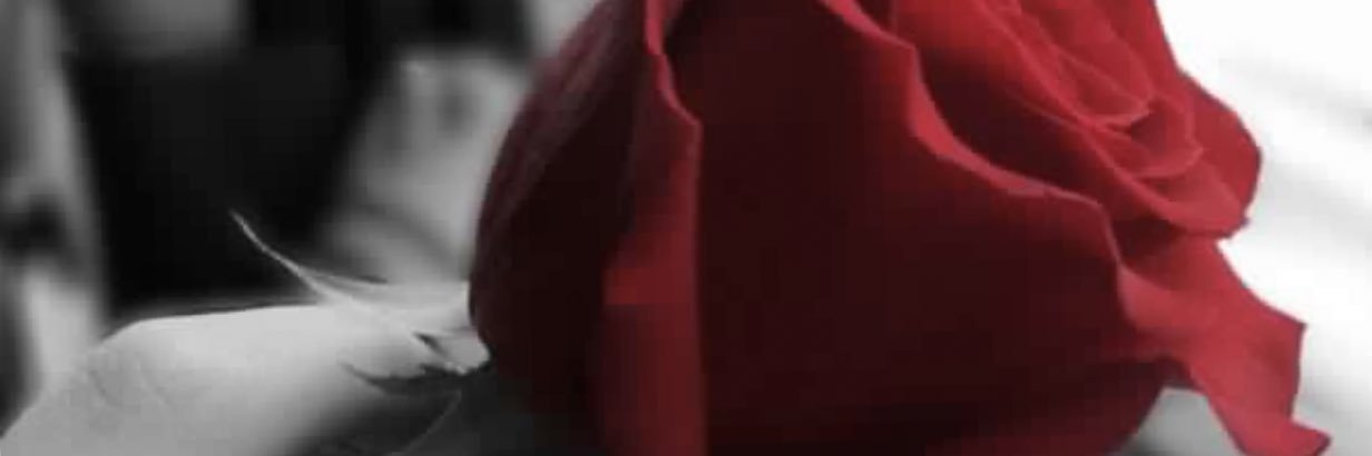 sofymoon201411's profile banner image