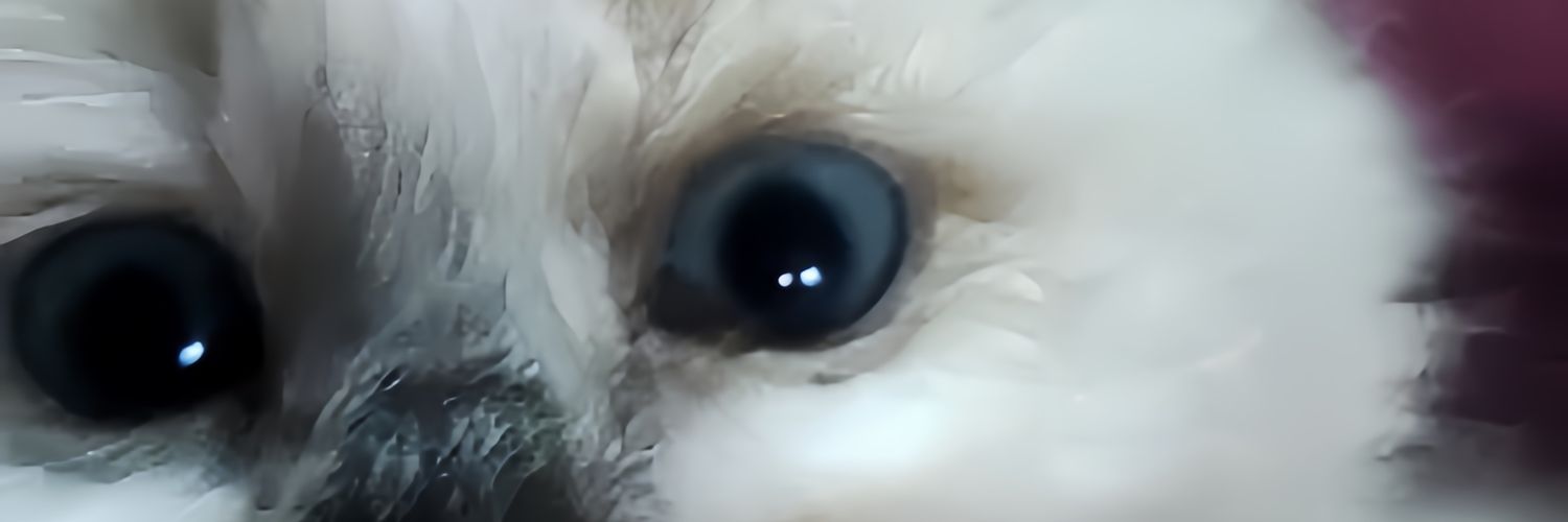 littechinguya's profile banner image