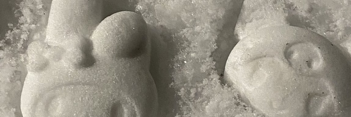 🍄 banner