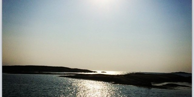 RosenUlrika's profile banner image
