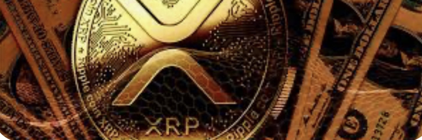 Craig XRP ( 102 ) banner