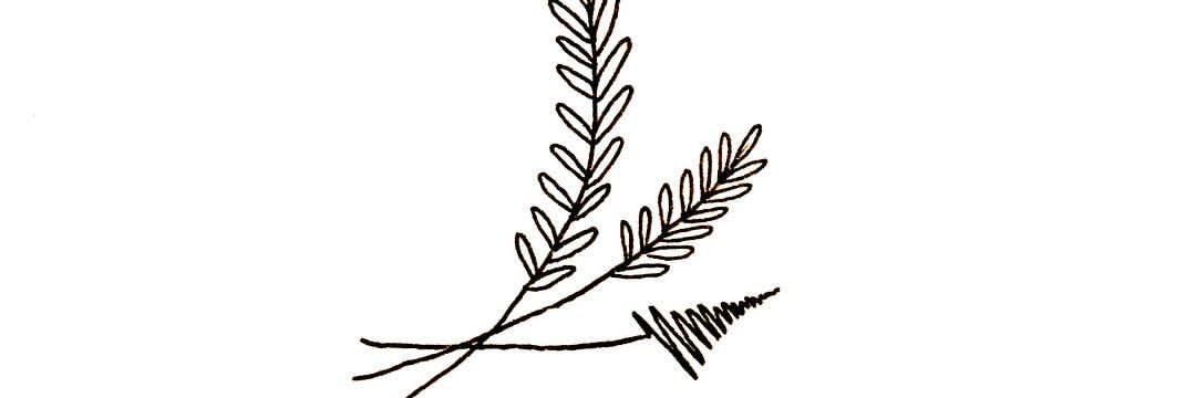 joosoz's profile banner image