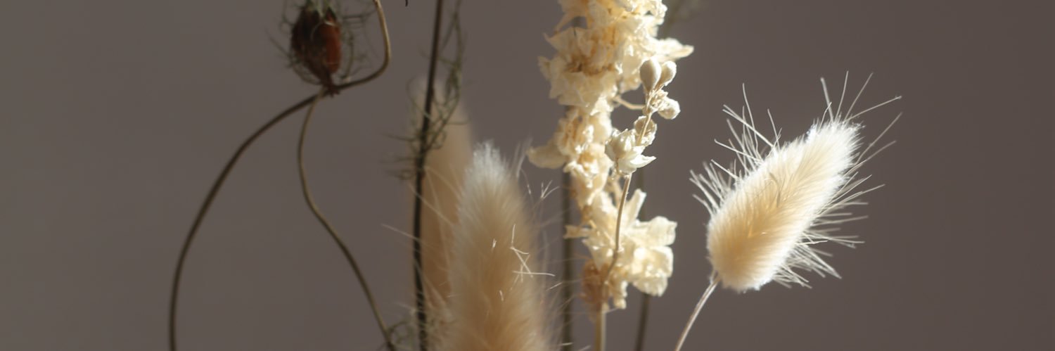 taylapaigec's profile banner image