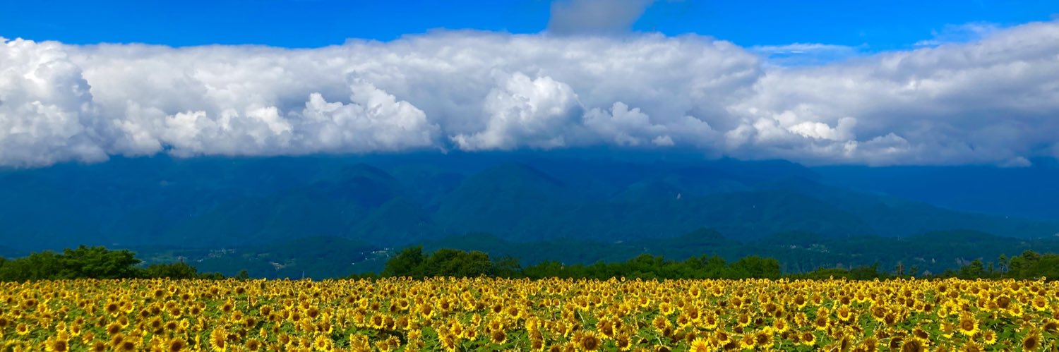 chi_bow_ver_up's profile banner image