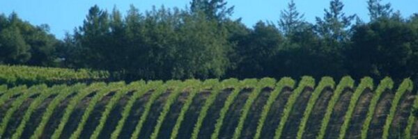 TheTimSales Profile Banner