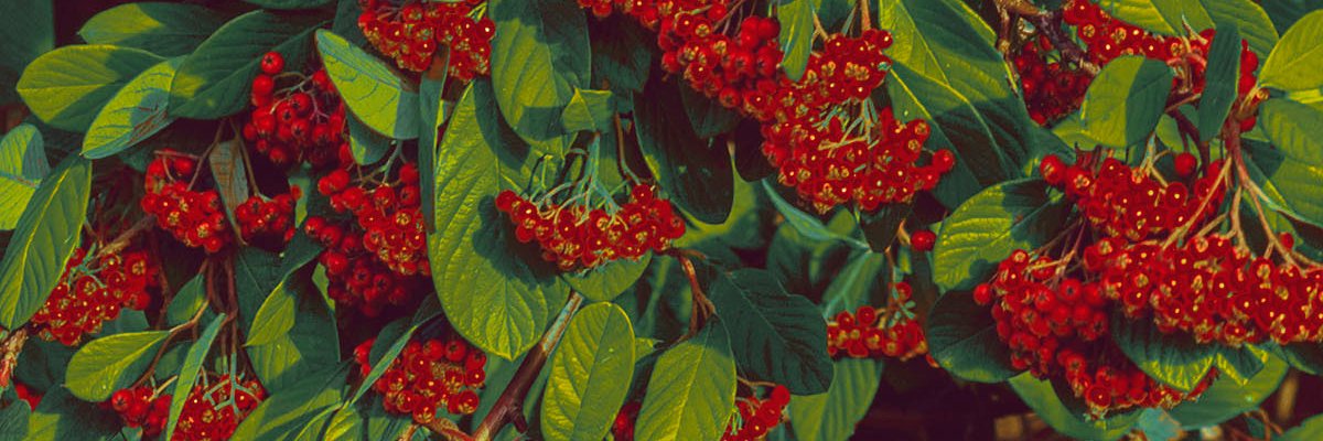 valery_las's profile banner image