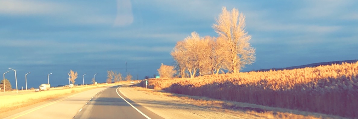 Lewrey_67's profile banner image