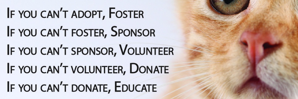 PawsEp's profile banner image