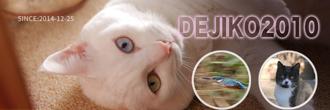 dejiko2010's profile banner image