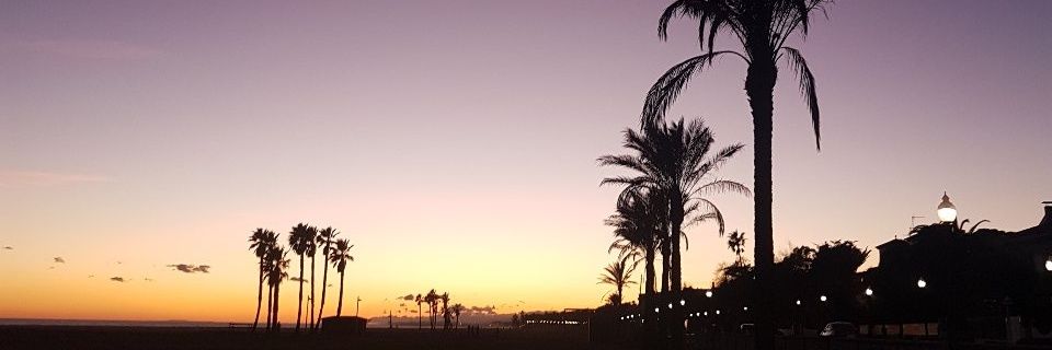 judms6's profile banner image
