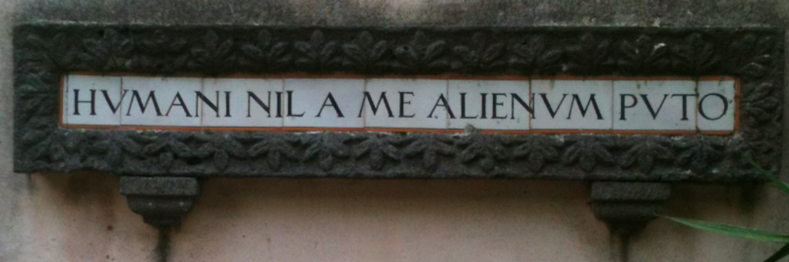 Mario Rodriguez banner