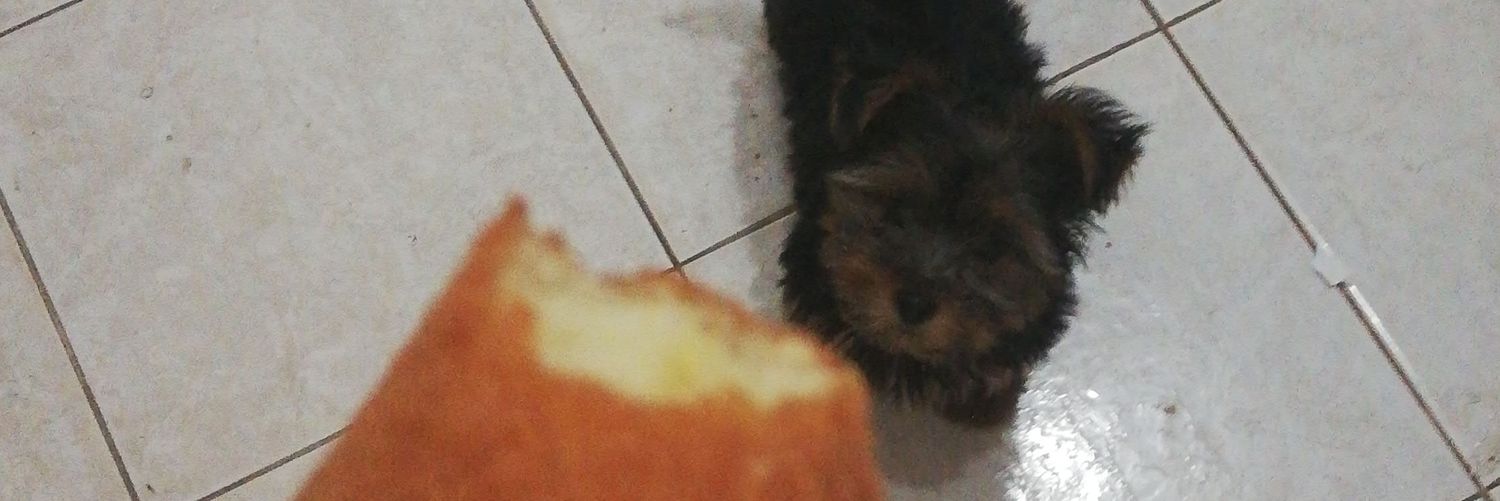 marisavicezar's profile banner image