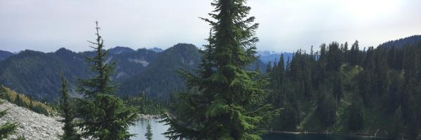 Nawlaf Profile Banner
