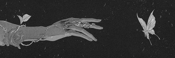 NShayae Profile Banner