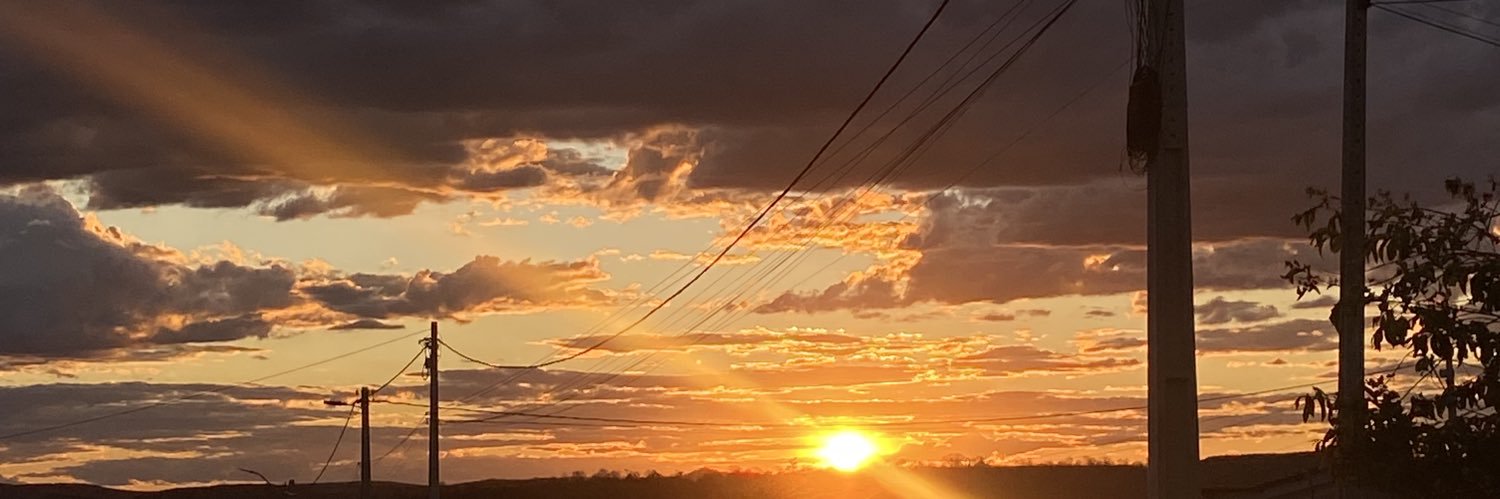 sarahpsil's profile banner image