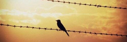 ¡Aquí y ahora! banner