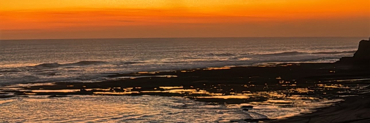 pharresss's profile banner image