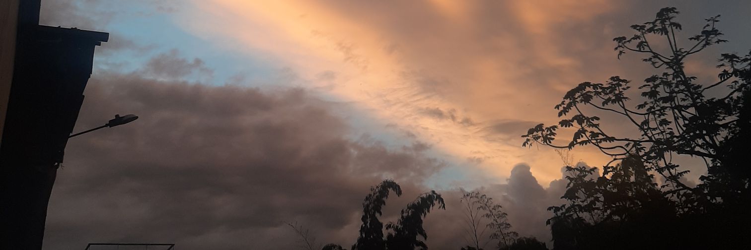 Mxrce☠ banner