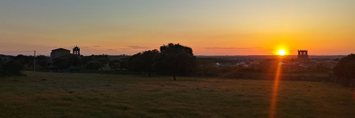 Carlos J. Salgado banner