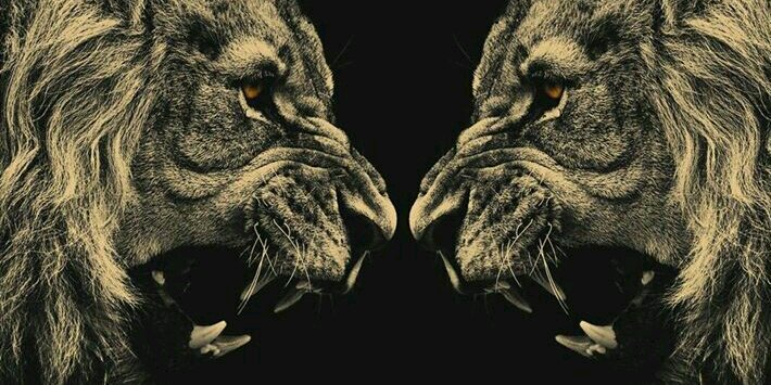 TomcatBanX's profile banner image