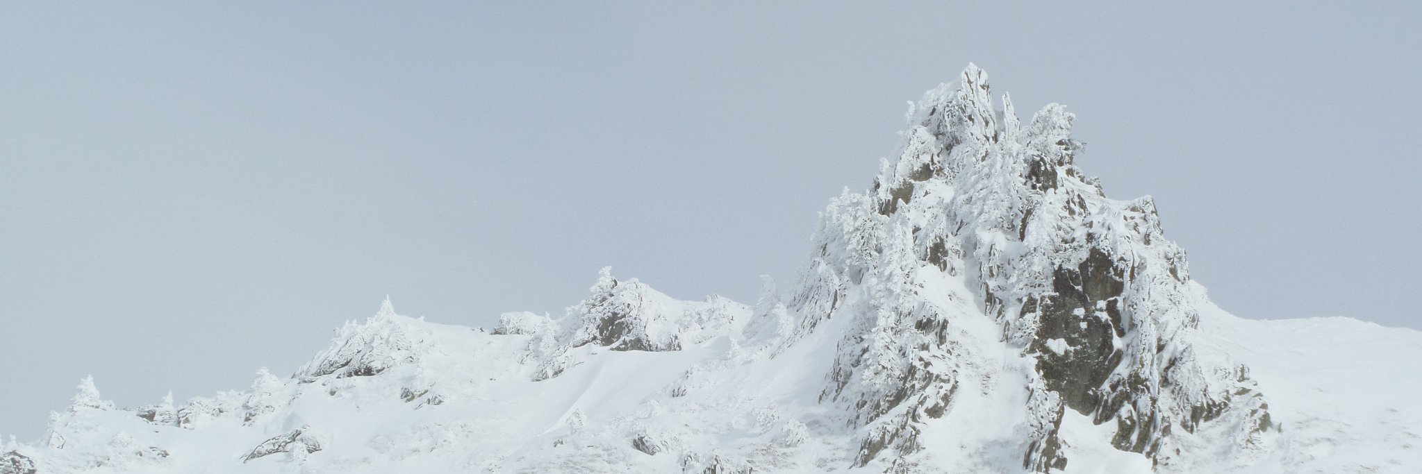 IDavis0's profile banner image