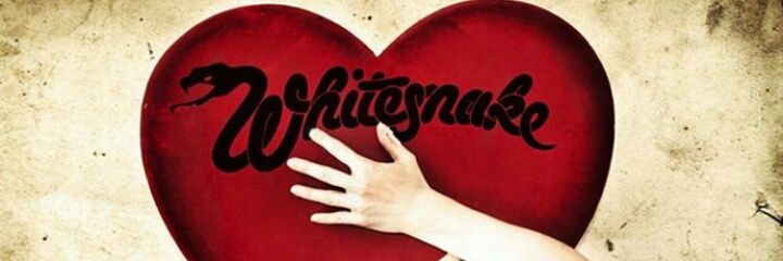 lorena5527's profile banner image