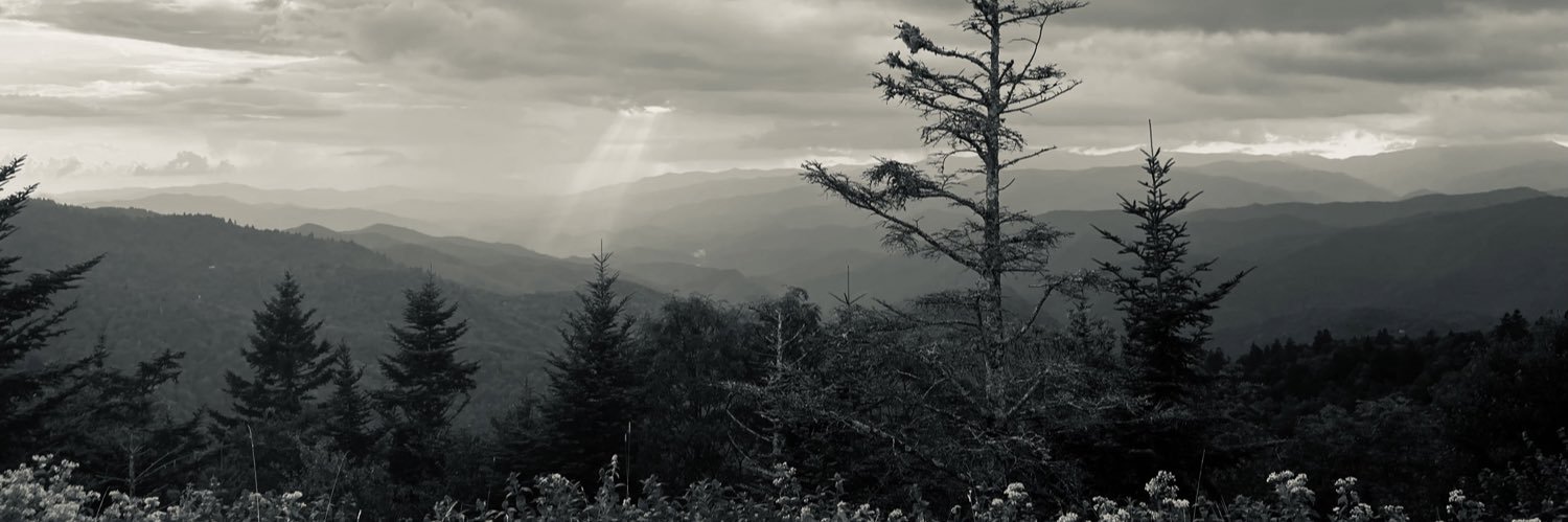 tstvmpr's profile banner image