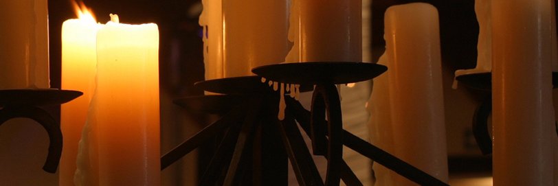 lindeni's profile banner image