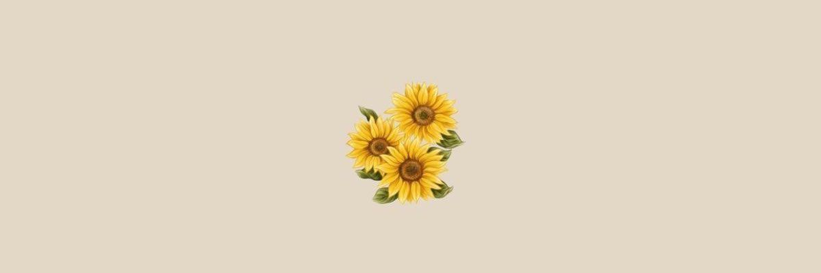 stephsolensky's profile banner image
