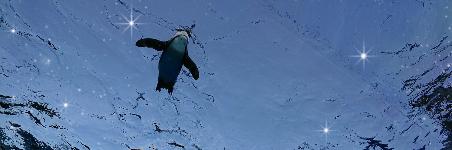 0x0sami's profile banner image