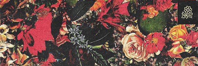 kblpz's profile banner image