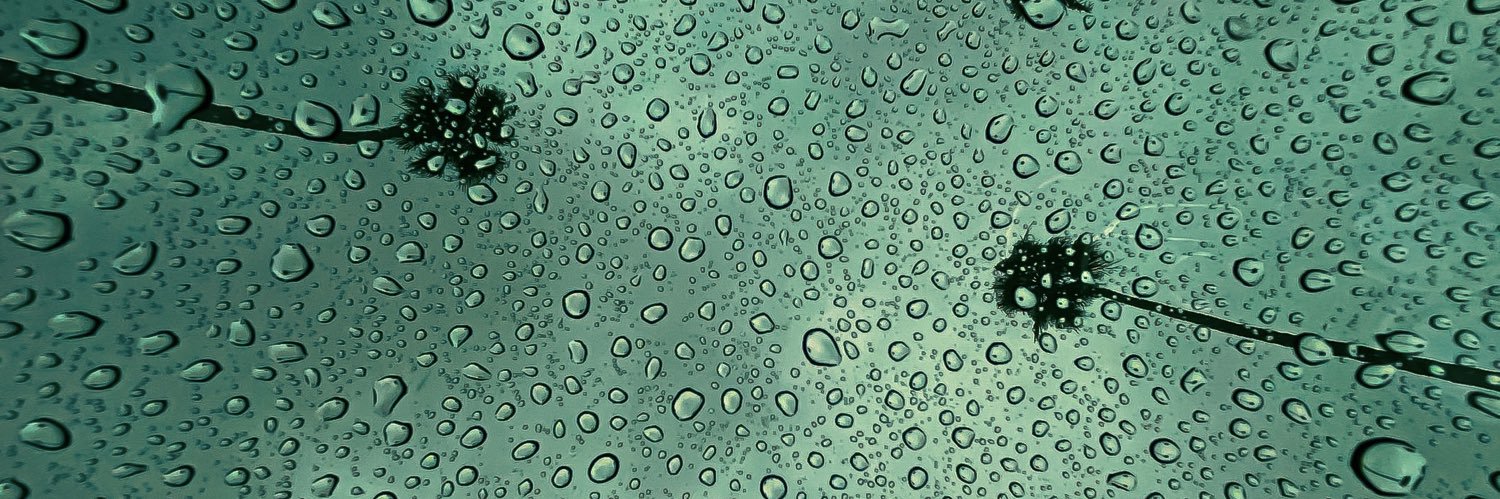 LASTSUSPECT | ✖️👤 banner