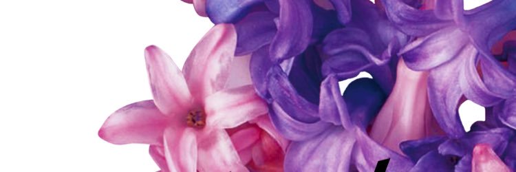 Mexshixchi's profile banner image