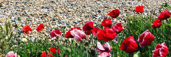 AprilCherry Profile Banner