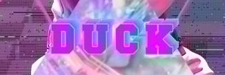 duck_wave's profile banner image