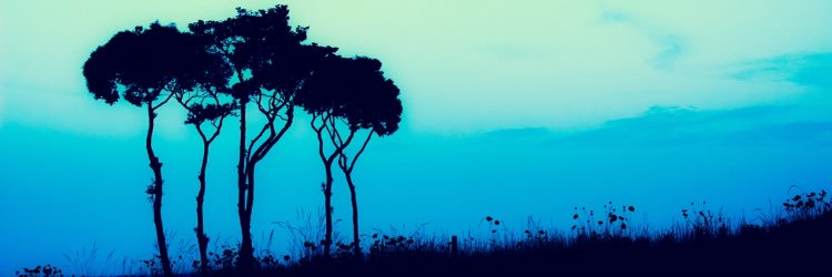 NKj5camera's profile banner image