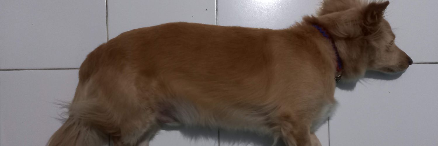 KweeMingShun's profile banner image