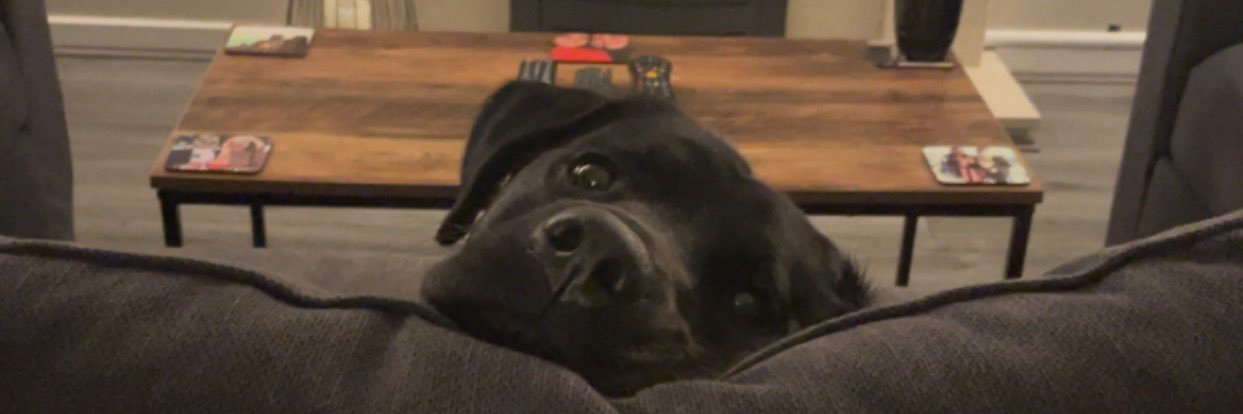 MOO_rey's profile banner image