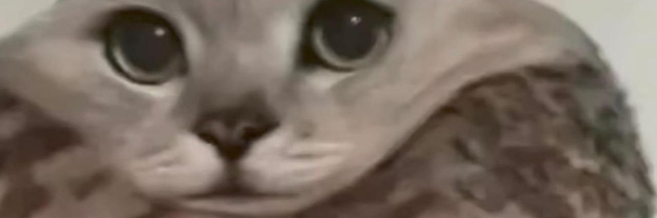 Eluneh_'s profile banner image